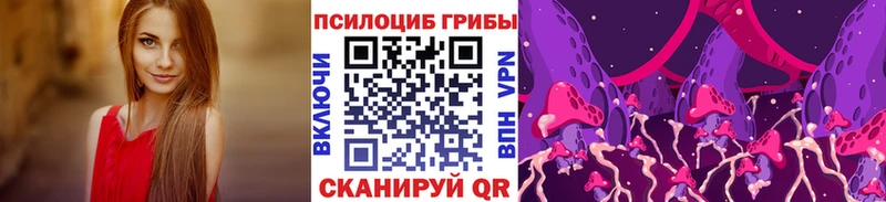 Купить закладки Юрьев-Польский Галлюциногенные грибы Cubensis